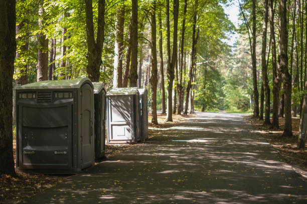 Portable Toilet Options We Offer in Chatsworth, IL